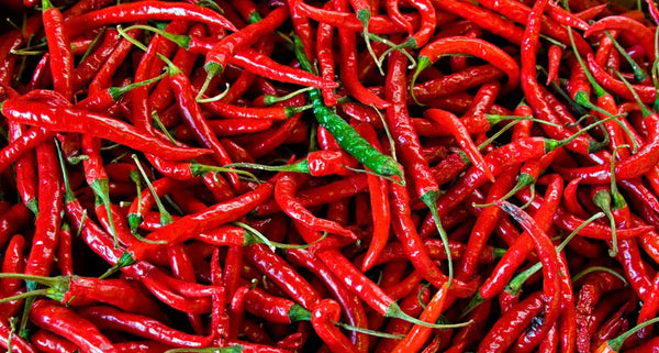 Chili Pepper