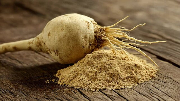 Maca Root